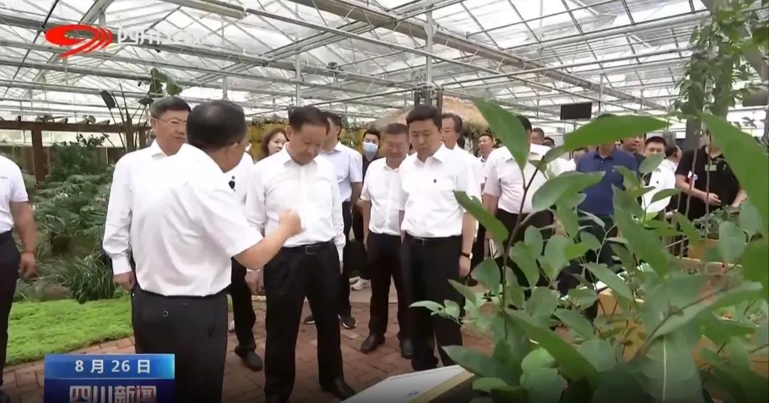 聚焦七彩|四川省委书记彭清华调研巴州区中药材现代农业园区