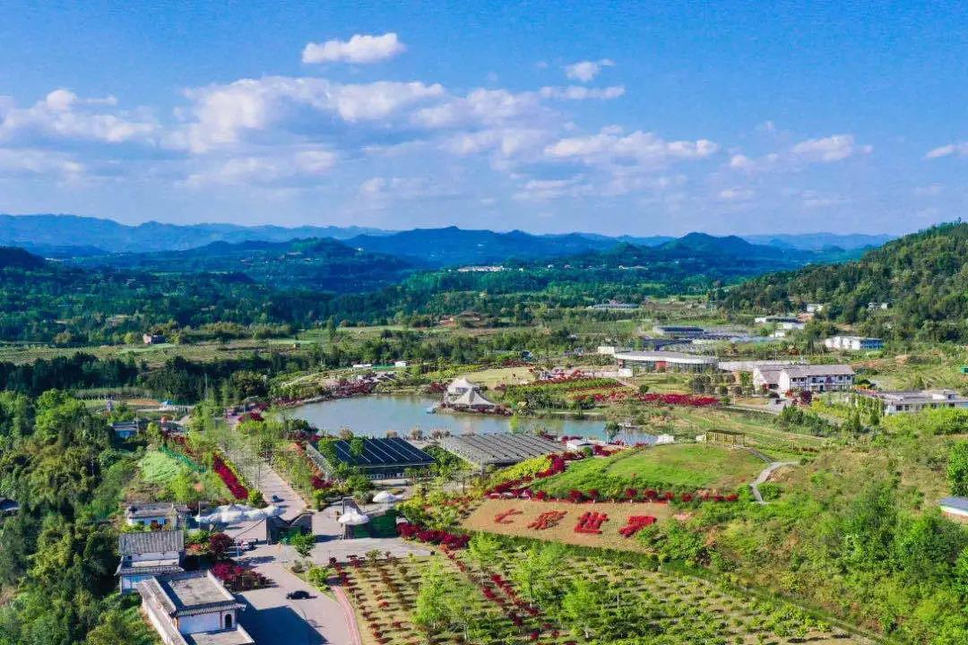聚焦七彩|四川省委书记彭清华调研巴州区中药材现代农业园区
