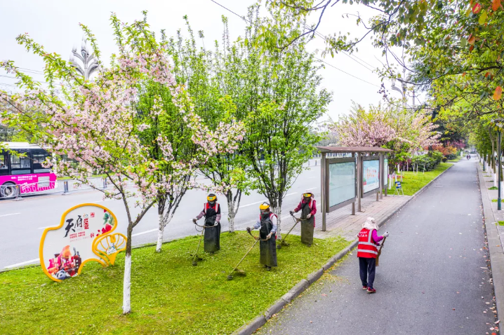 七彩服务|探索城市园艺新路径
