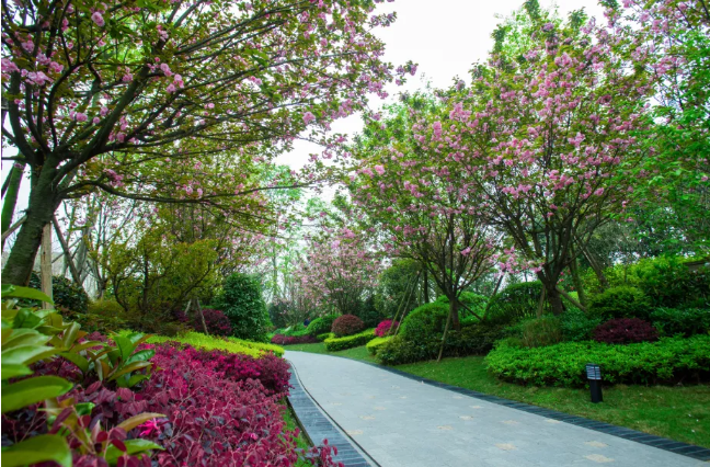 七彩服务|探索城市园艺新路径