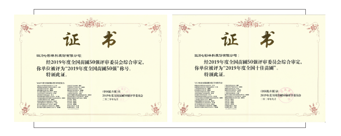 聚焦七彩|金秋丰收！七彩林科再获全国十佳苗圃