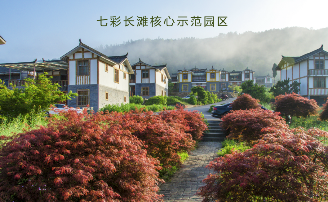 聚焦七彩|金秋丰收！七彩林科再获全国十佳苗圃