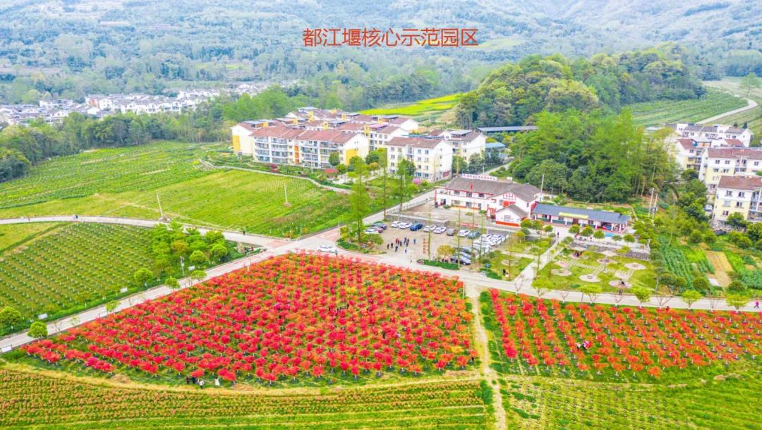 聚焦七彩|金秋丰收！七彩林科再获全国十佳苗圃