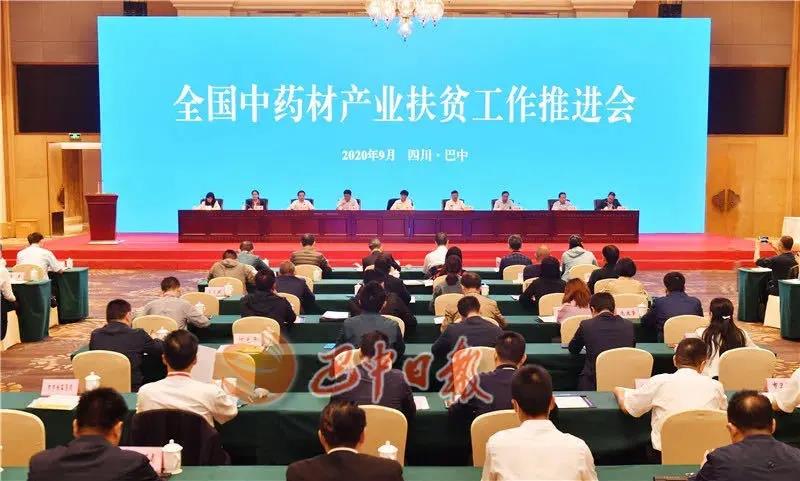 聚焦七彩|药用观赏植物助力中药材产业走出发展新道路