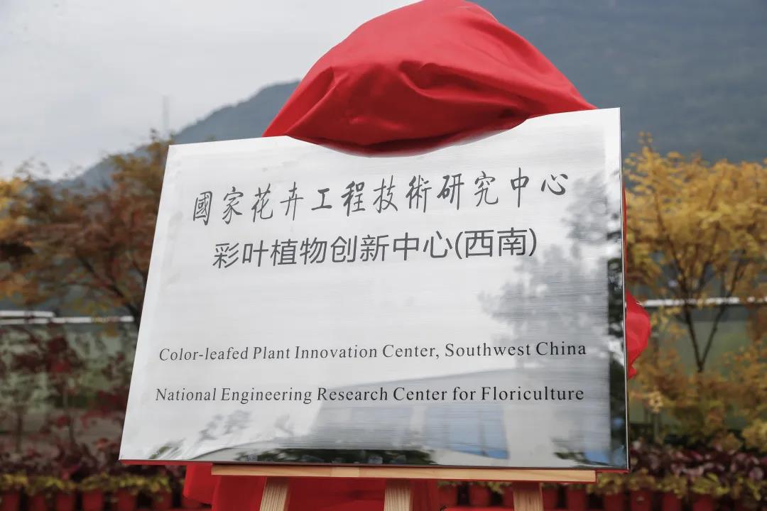 聚焦七彩|“国家花卉工程技术研究中心彩叶植物创新中心（西南）”隆重揭牌
