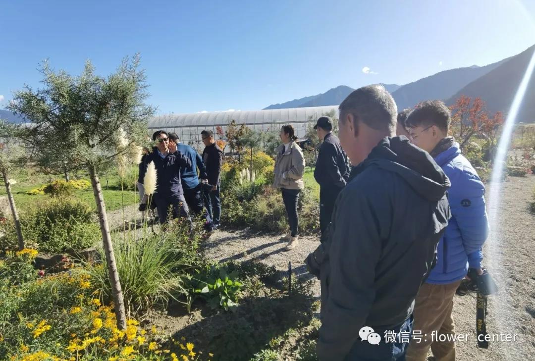 谢松林博士出席2020中国“千种新花卉”高峰论坛