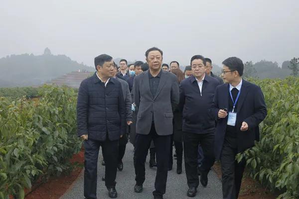 全省竹林风景线暨林业园区建设现场会在宜宾召开