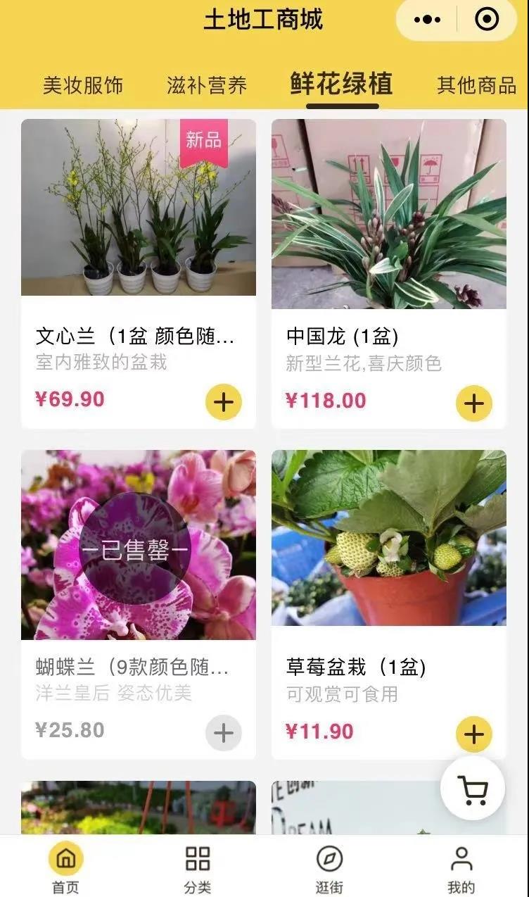 社交新零售 ，花卉企业打开终端市场的新机会？