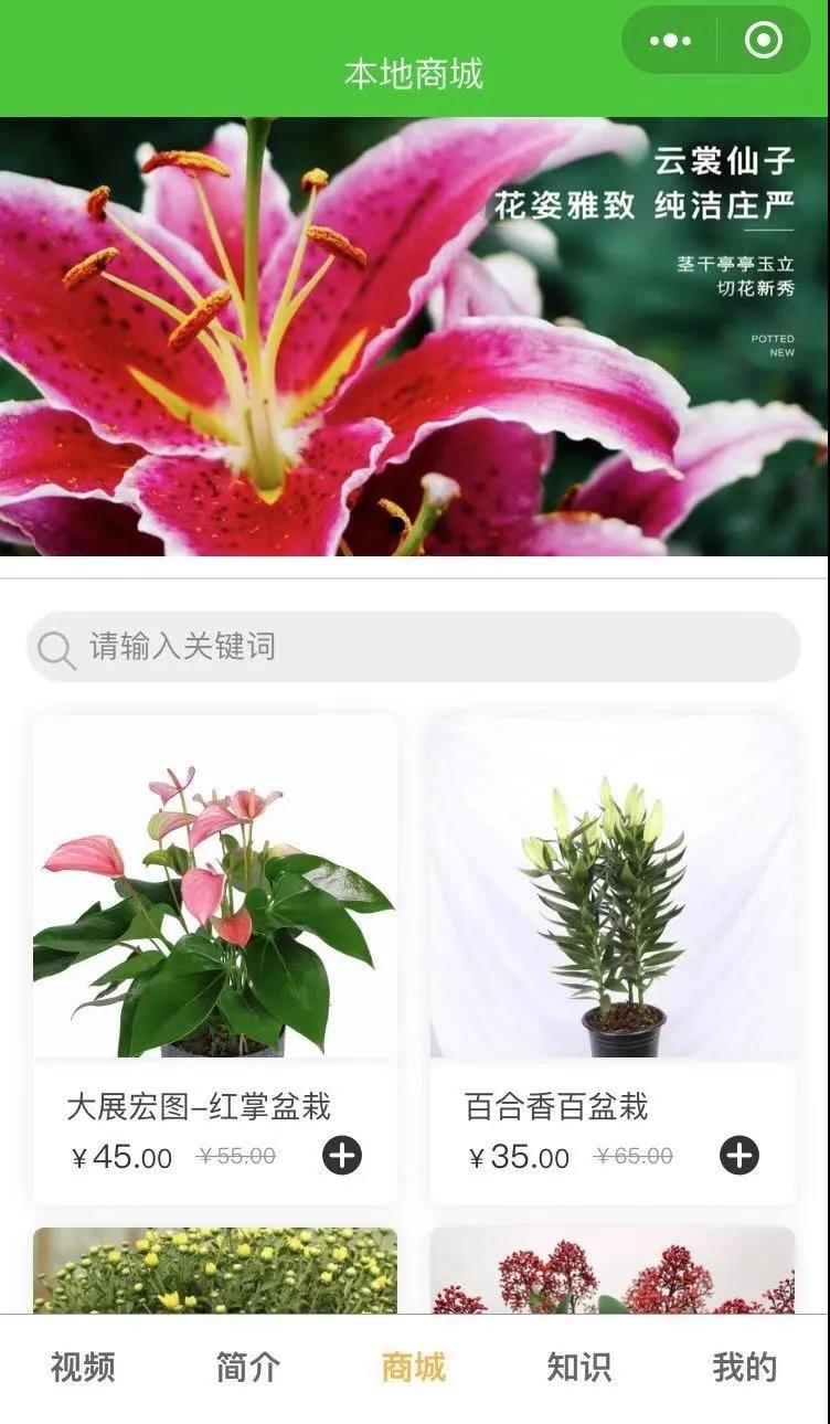 社交新零售 ，花卉企业打开终端市场的新机会？