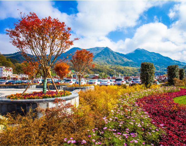 光雾山风景区