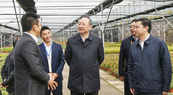 聚焦七彩 | 四川省委副书记、省长尹力调研七彩林业