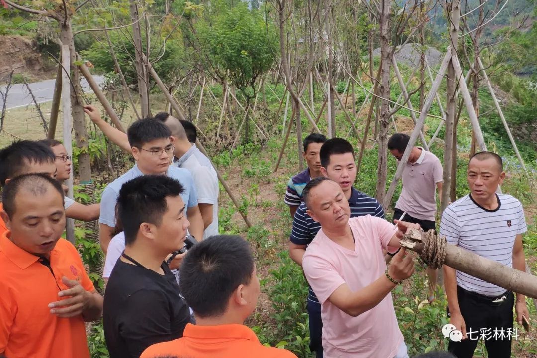 职场得意人生之“我有我师”