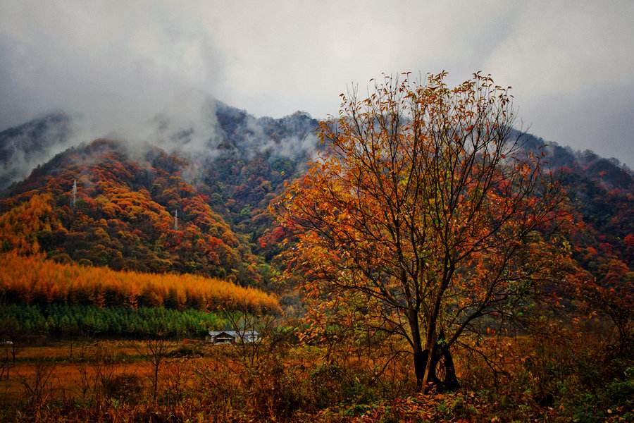 守住绿水青山　守住美丽幸福