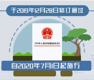 新《中华人民共和国森林法》2020年7月1日起实施