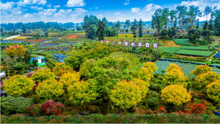 七彩服务|探索城市园艺新路径